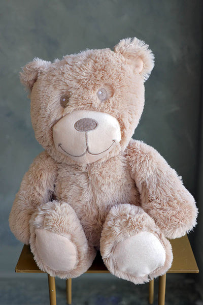 Hug Them with a Teddy Bear 🧸