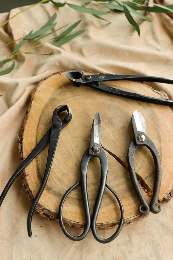 Bonsai Tool Bundle – Nectar Flowers Ottawa