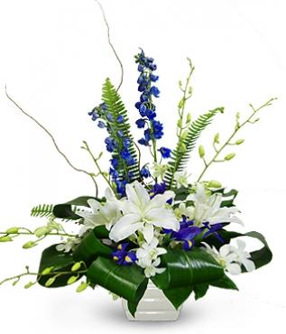 Fantastic Blue Orchids