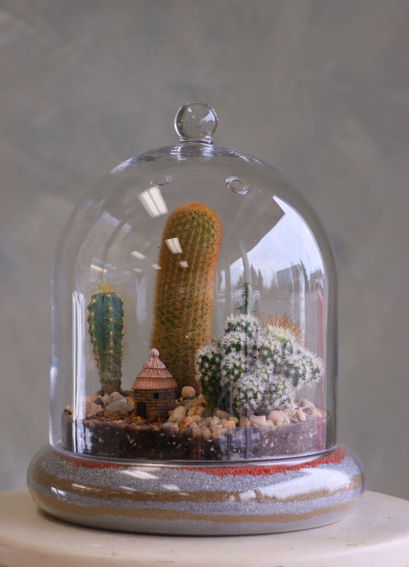 Glass cloche terrarium with mixed cacti, pebbles, layered sand base, and a tiny clay hut, styled as a miniature desert village on a round pedestal.