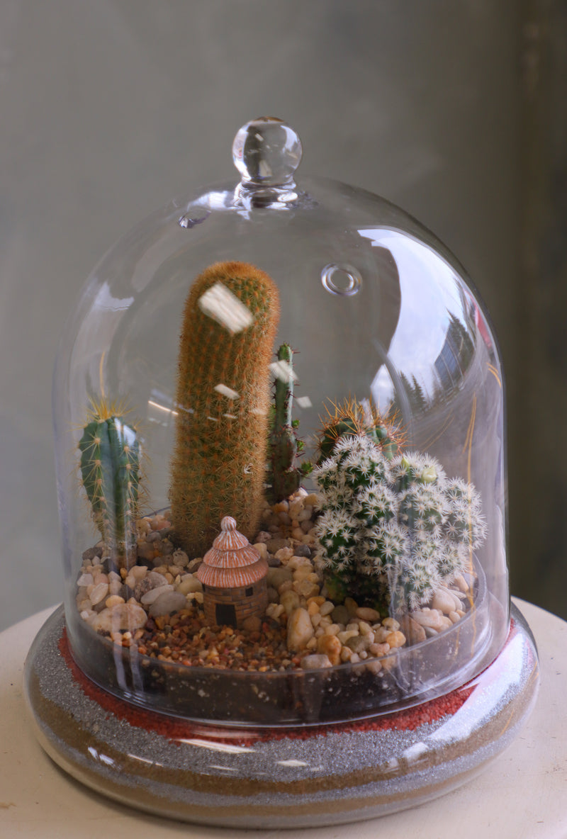 Glass cloche terrarium with mixed cacti, pebbles, layered sand base, and a tiny clay hut, styled as a miniature desert village on a round pedestal.
