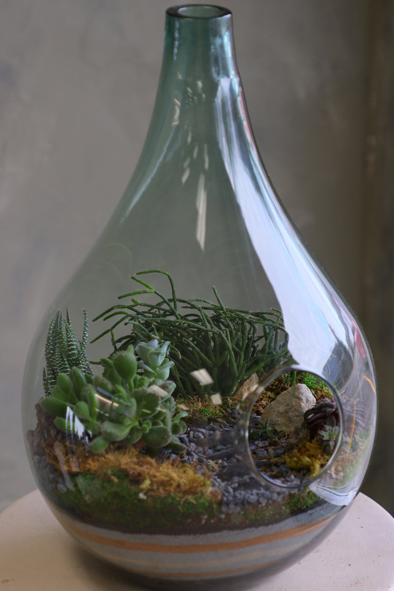 Large teardrop glass terrarium with front opening, layered sand, pebbles, moss, and assorted succulents arranged as a lush miniature landscape.