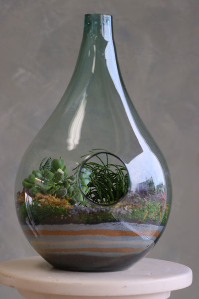 Large teardrop glass terrarium with front opening, layered sand, pebbles, moss, and assorted succulents arranged as a lush miniature landscape.