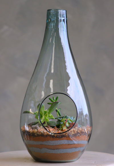 Teardrop glass terrarium with front opening, layered sand, pebbles, and several small cacti arranged as a miniature desert garden.