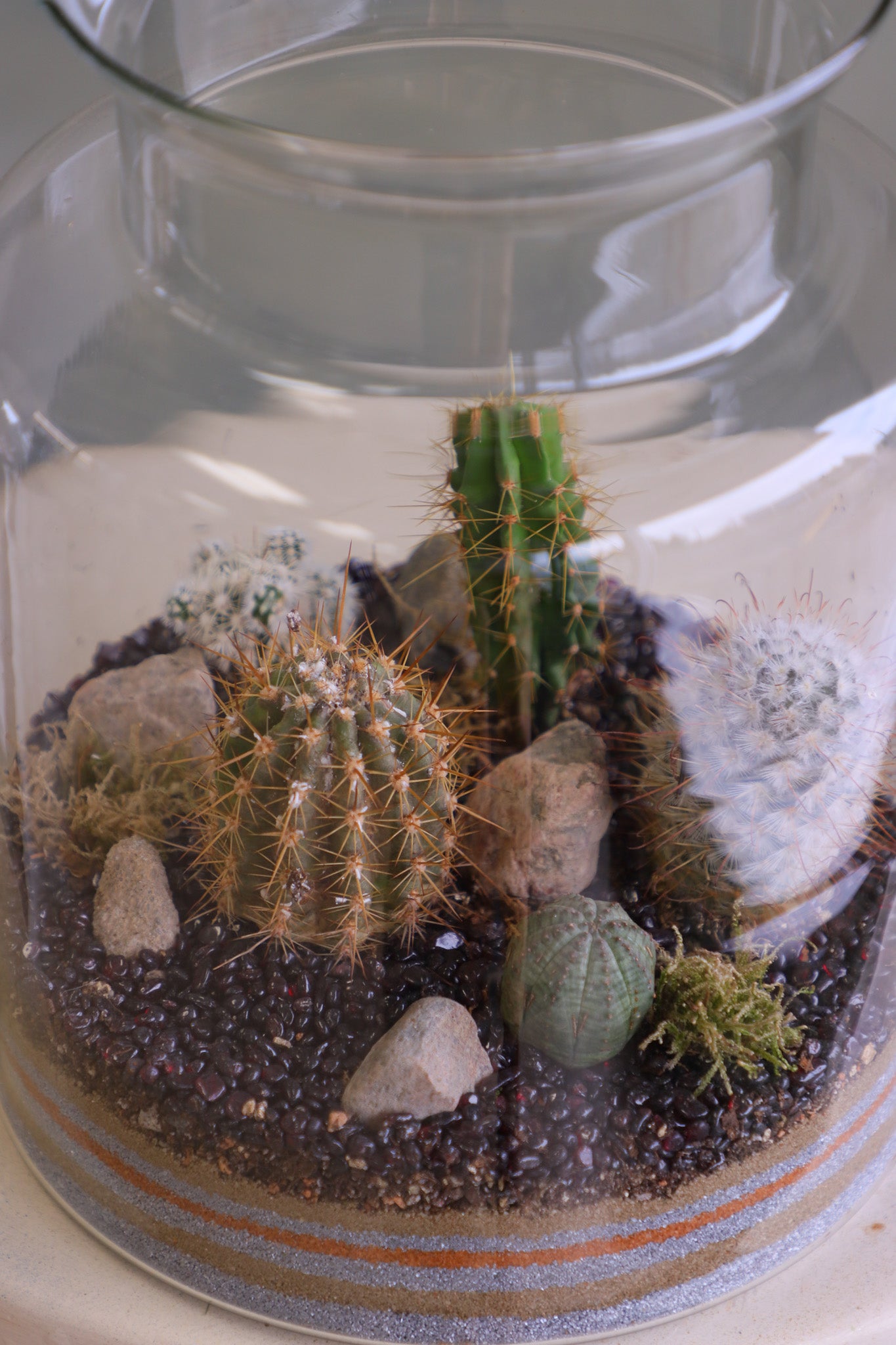 Tall clear glass terrarium filled with assorted small cacti, layered decorative sand, rocks, and pebbles, styled as a miniature desert landscape.