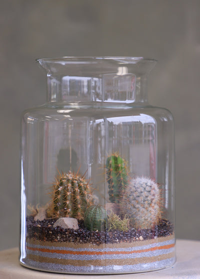Tall clear glass terrarium filled with assorted small cacti, layered decorative sand, rocks, and pebbles, styled as a miniature desert landscape.