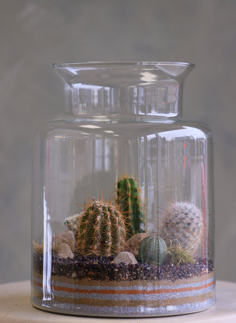 Tall clear glass terrarium filled with assorted small cacti, layered decorative sand, rocks, and pebbles, styled as a miniature desert landscape.