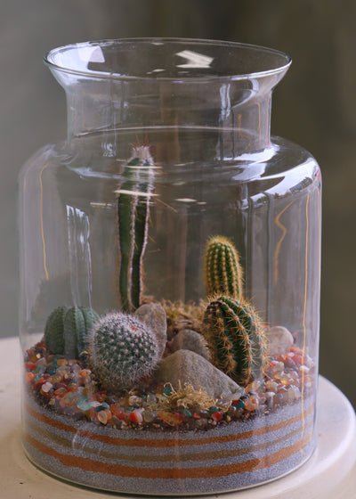 Tall clear glass terrarium filled with assorted small cacti, layered decorative sand, rocks, and pebbles, styled as a miniature desert landscape.