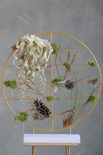 Air Garden Sphere featuring air plants, moss, and organic accents in a golden circular frame by Ottawa florist.