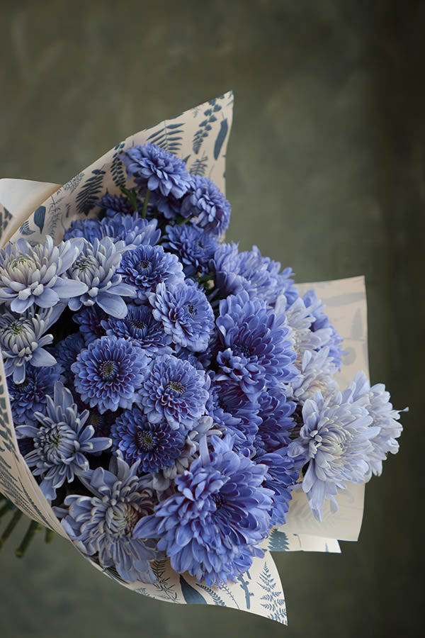 Blue Bliss