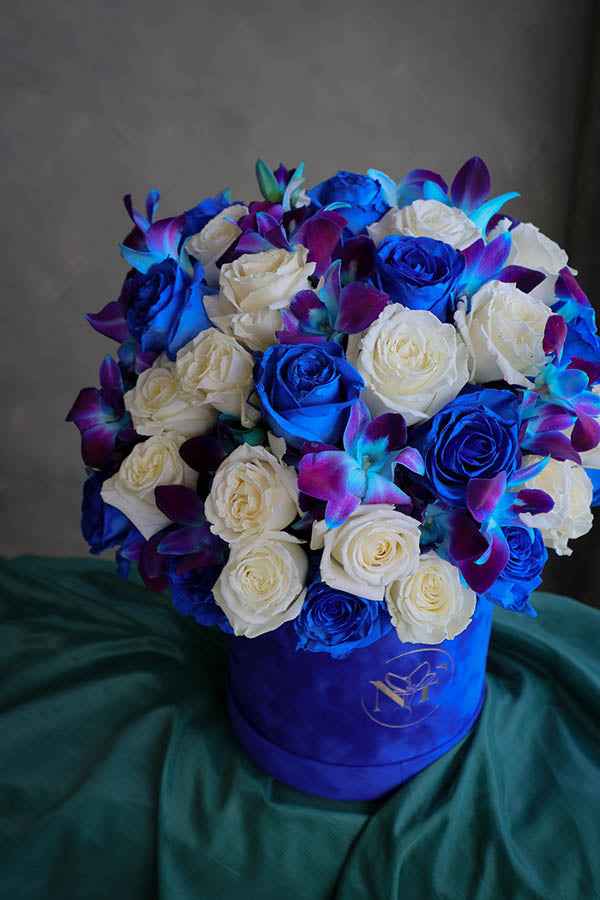 Blue Elegance