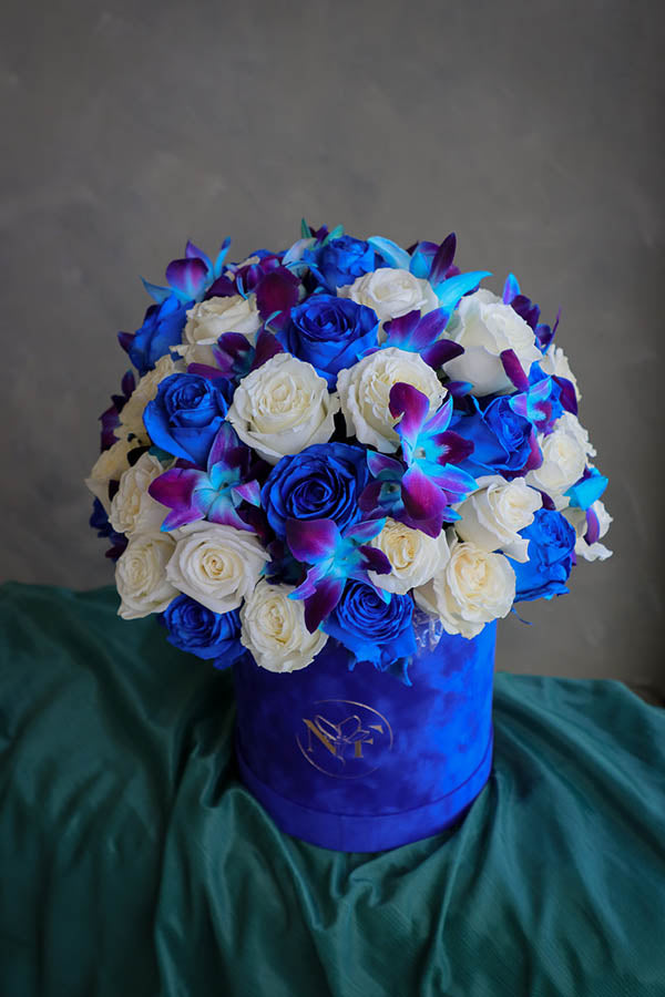 Blue Elegance