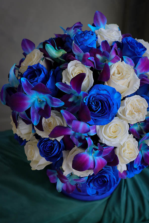 Blue Elegance