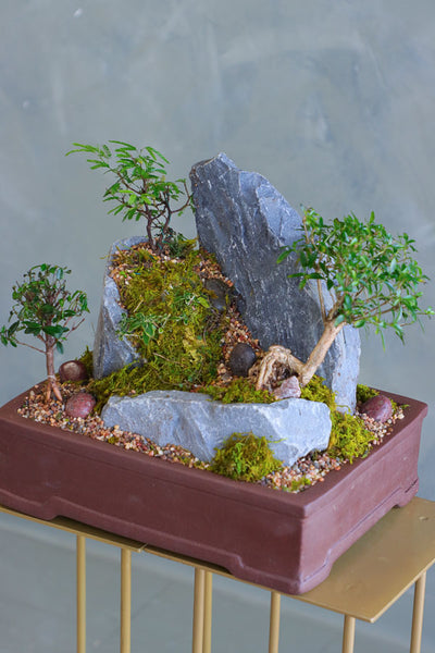  Bonsai and rock landscape arrangement with sculpted trees, stones, and moss, available for delivery in Ottawa.