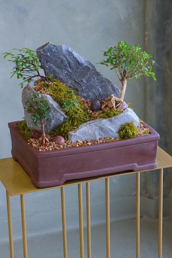  Bonsai and rock landscape arrangement with sculpted trees, stones, and moss, available for delivery in Ottawa.