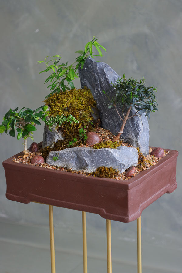  Bonsai and rock landscape arrangement with sculpted trees, stones, and moss, available for delivery in Ottawa.
