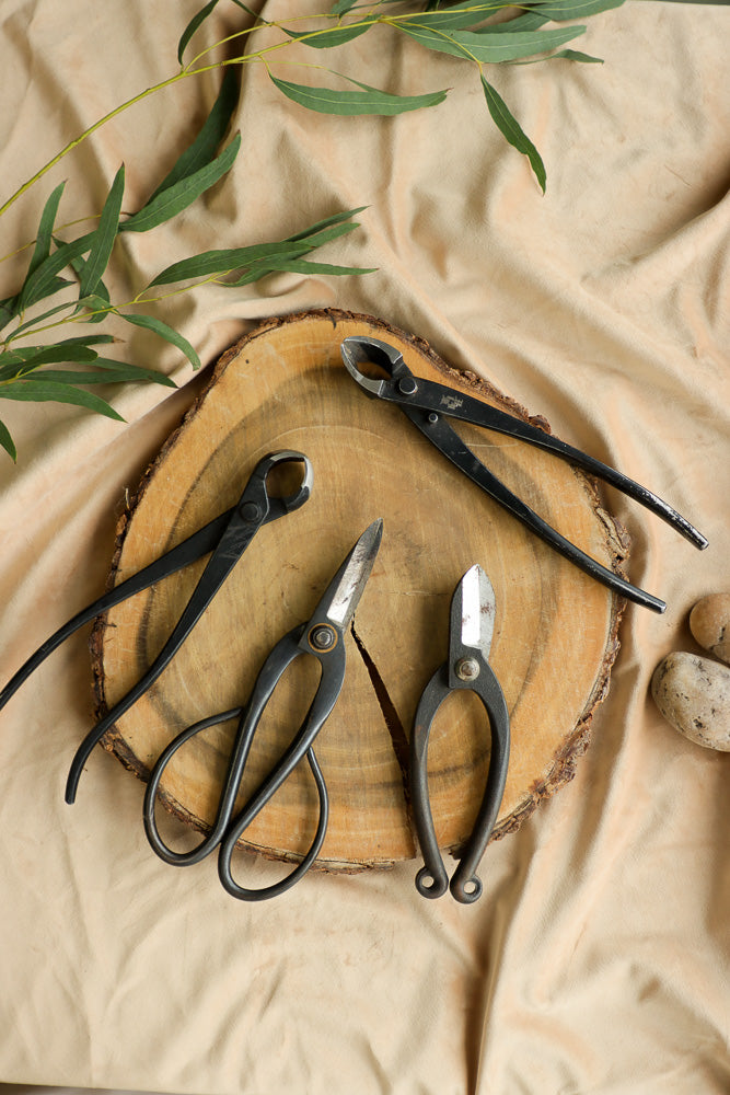 Bonsai Tool Bundle