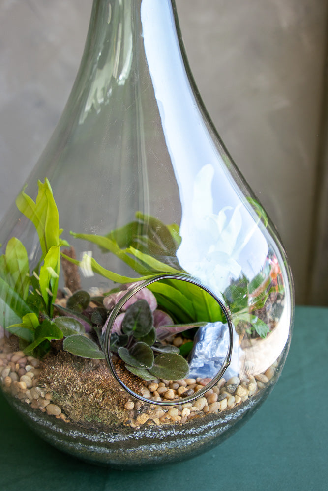 Large Terrarium - Steps Through the Desert