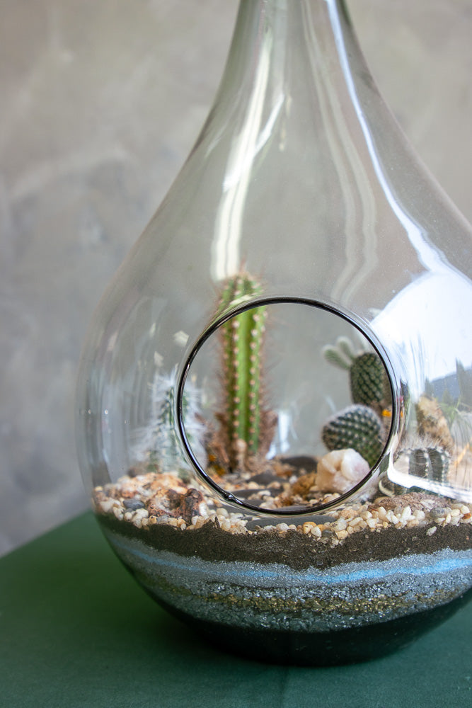 Large Terrarium - Steps Through the Desert