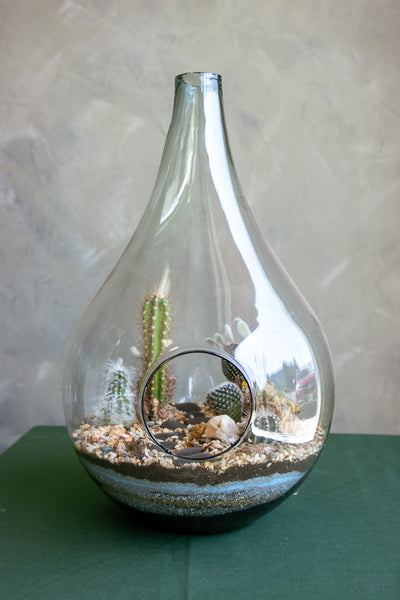 Large Terrarium - Steps Through the Desert