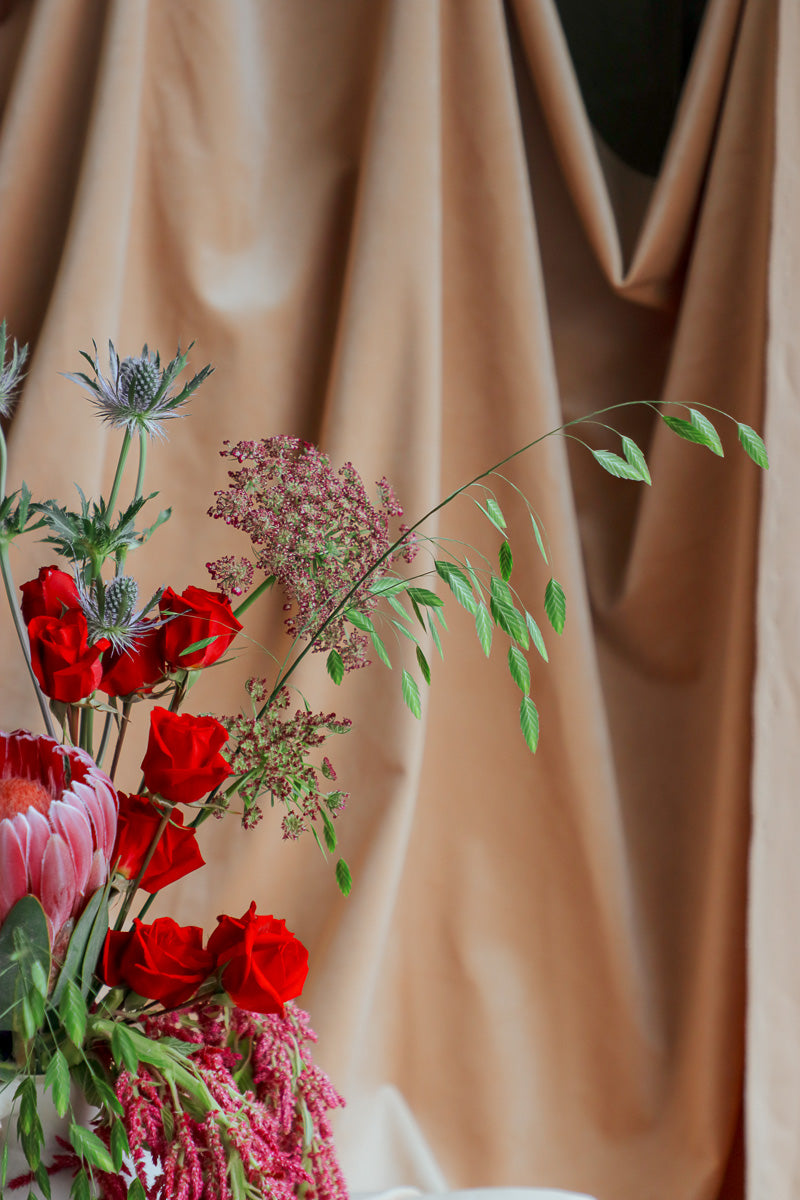 The Painter’s Season