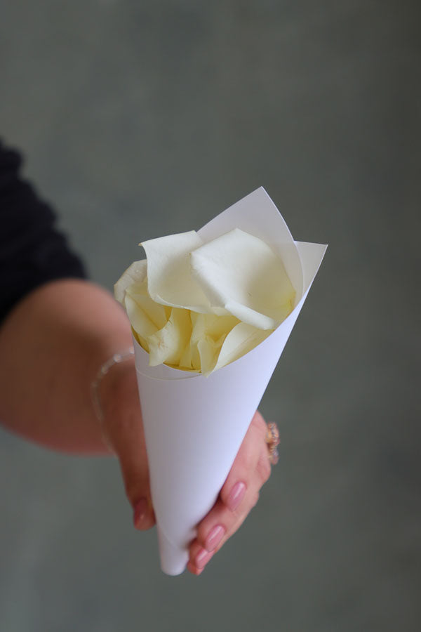 Hand holding a single white cone filled with fresh ivory rose petals