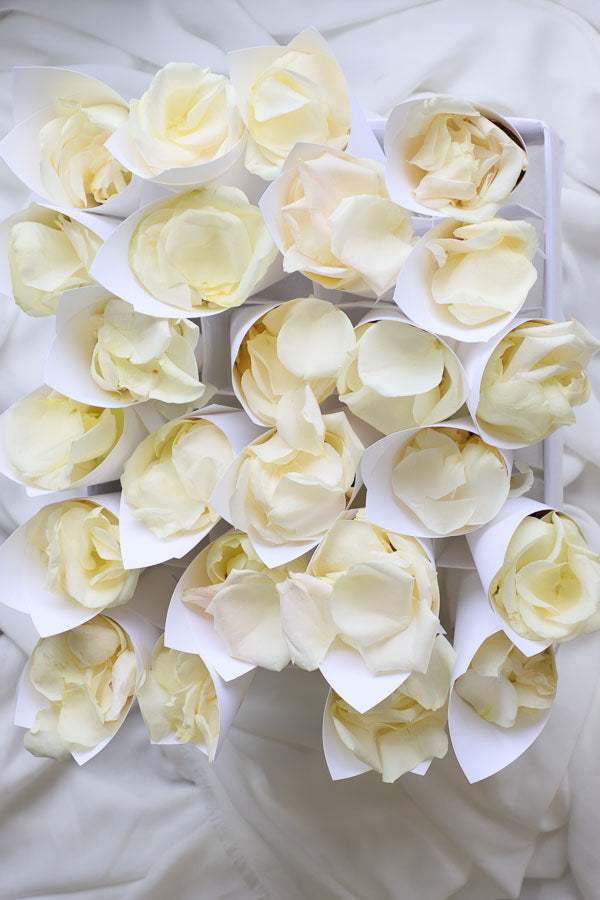 Wedding petal toss cones in a display box