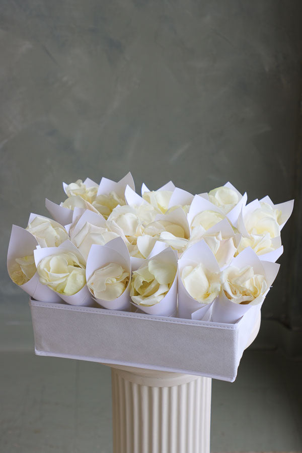 Fresh white rose petals in individual paper cones