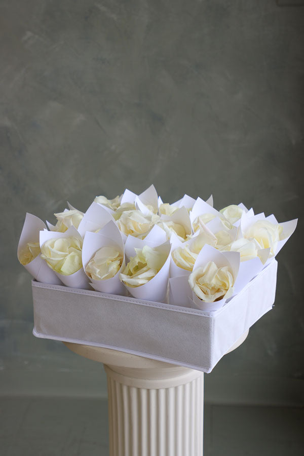Fresh white rose petals in individual paper cones