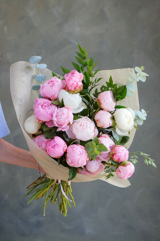 Peony Bloom