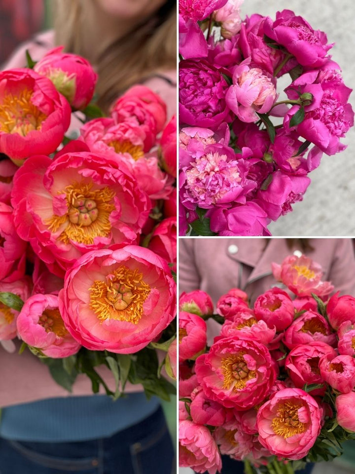 peonies ottawa; peony bouquet; buy peonies ottawa; peony