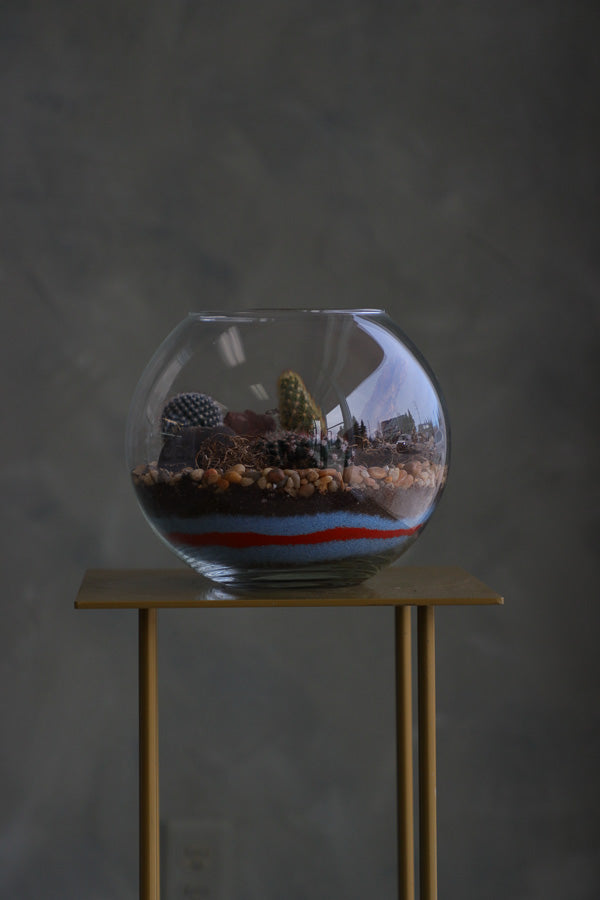 Glass terrarium featuring Balloon Cactus, Old Lady Cactus, Ladyfinger Cactus, and Mother of Hundreds with decorative sand and pebbles