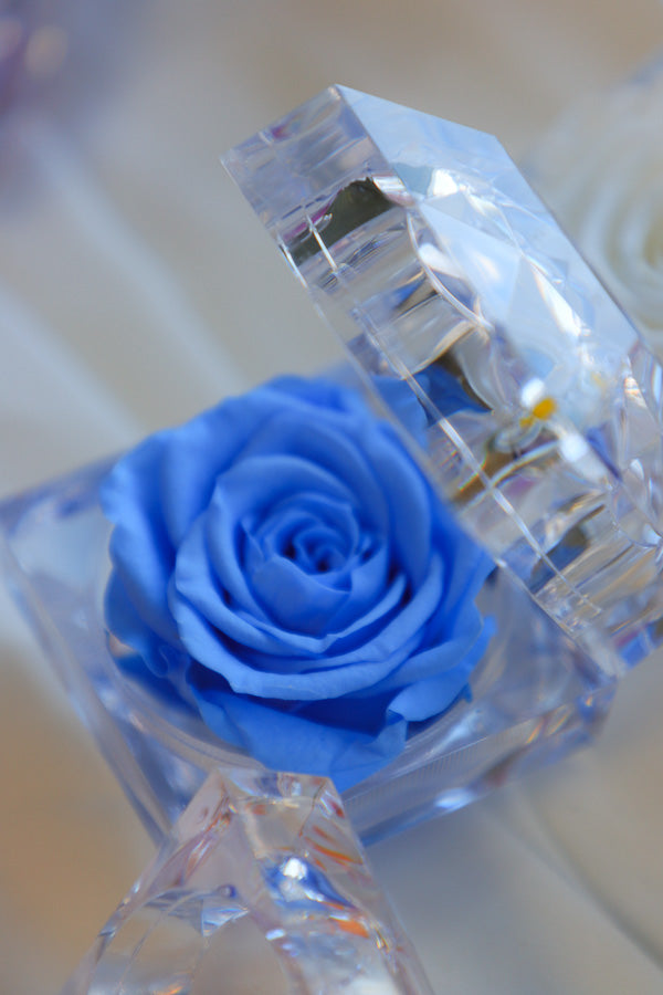 Mini Eternal Rose
