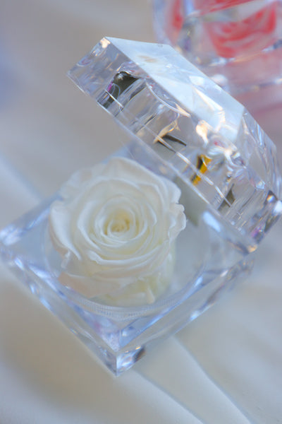 Mini Eternal Rose