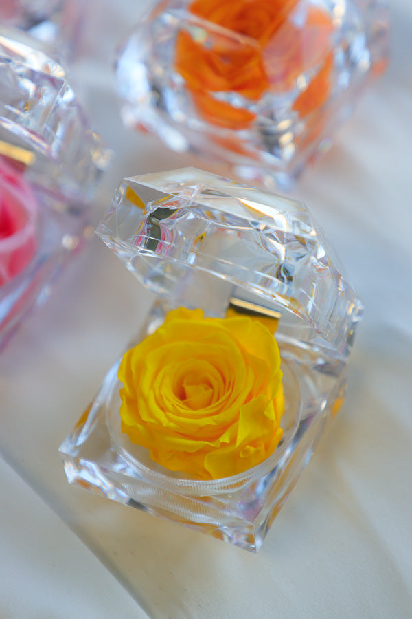 Mini Eternal Rose
