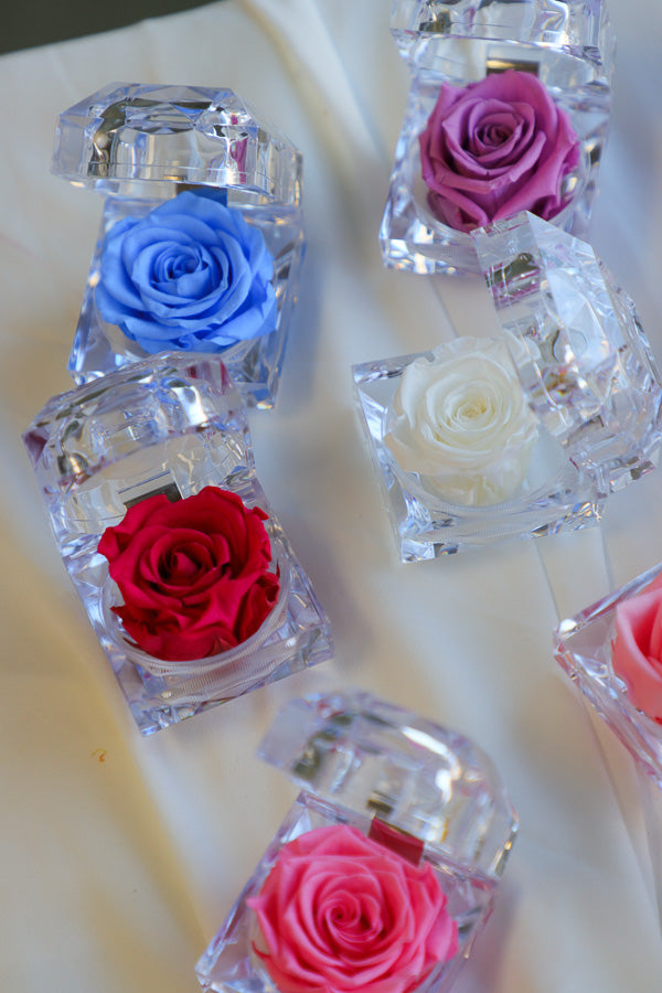 Mini Eternal Rose