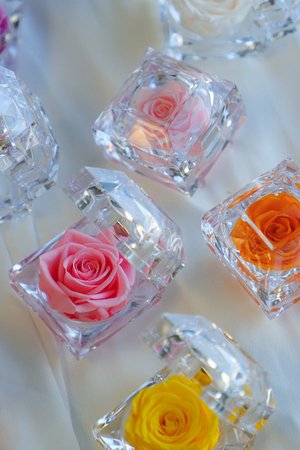 Mini Eternal Rose