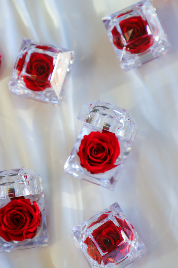 Mini Eternal Rose