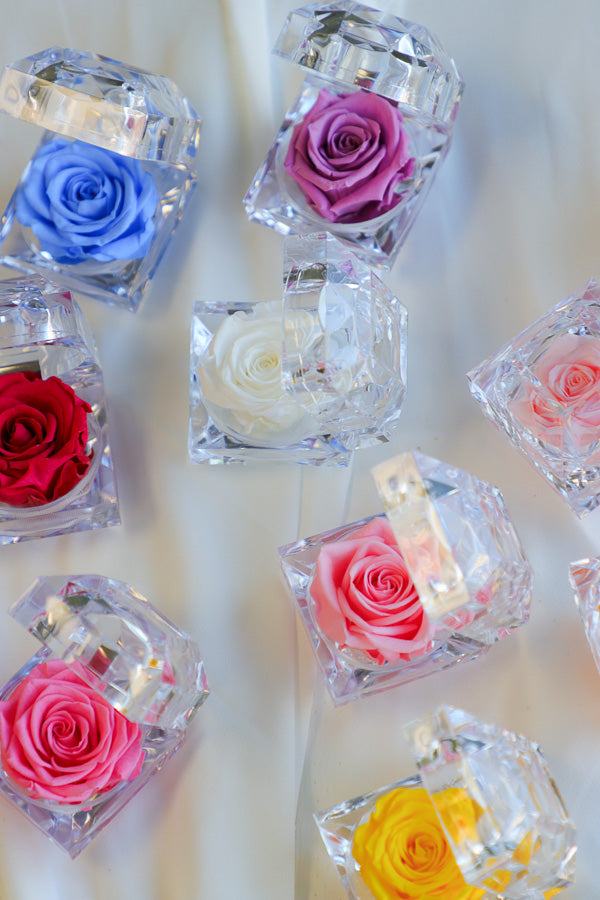 Mini Eternal Rose