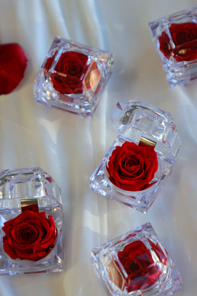 Preserved roses in crystal-clear display boxes in vibrant red, pink, white, blue, and purple, elegantly presented as a long-lasting floral keepsake.