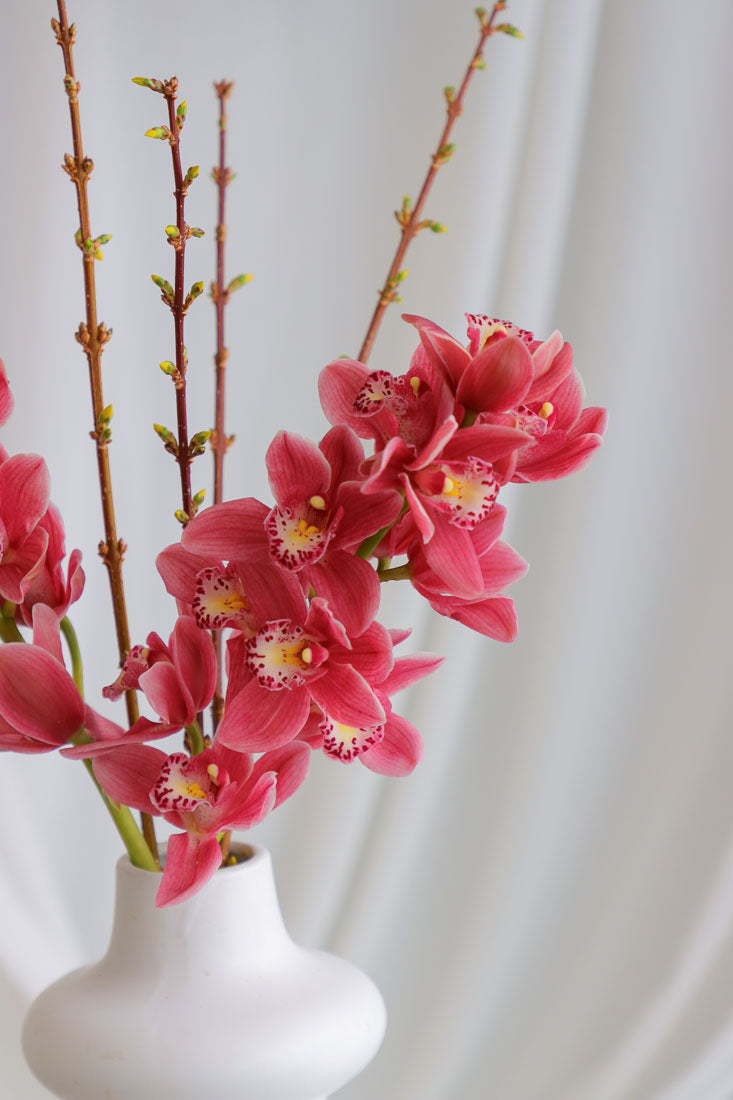 Dark pink mauve Cymbidium orchid arrangement with spring branches in a unique white ceramic vase, styled elegantly.