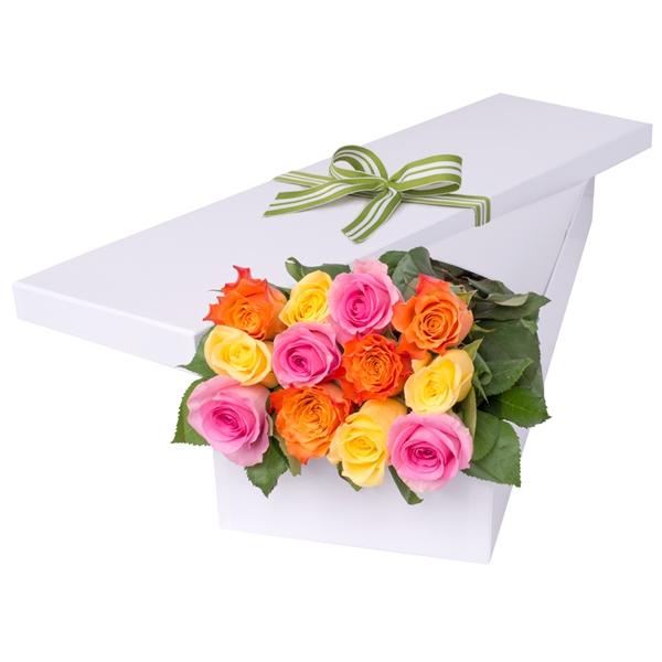 12 long stem Roses in a presentation box; bright color roses in a long box