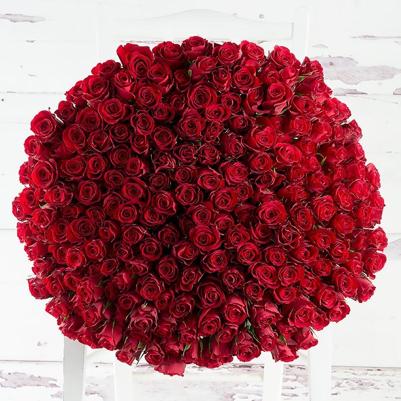 200 red roses bouquet 