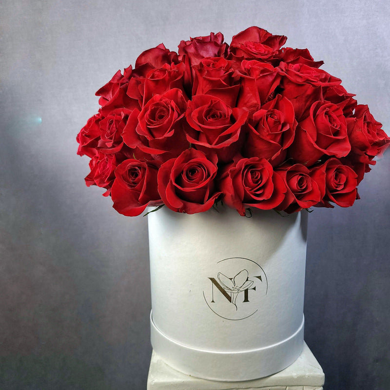 red roses; red roses in a round white box; roses boxed