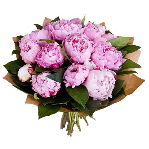Incredible Pink Peonies