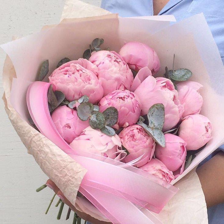 Incredible Pink Peonies