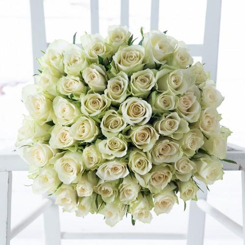 Luxury 50 white roses
