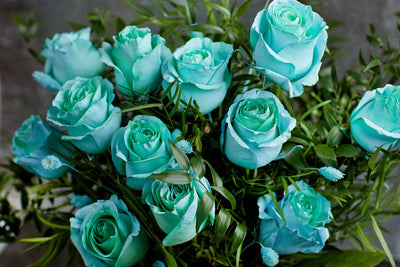 Sky blue roses; turquoise roses bouquet in a glass vase