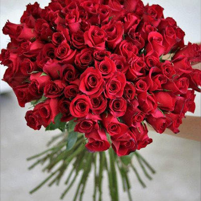 85 red roses; luxury bouquet 
