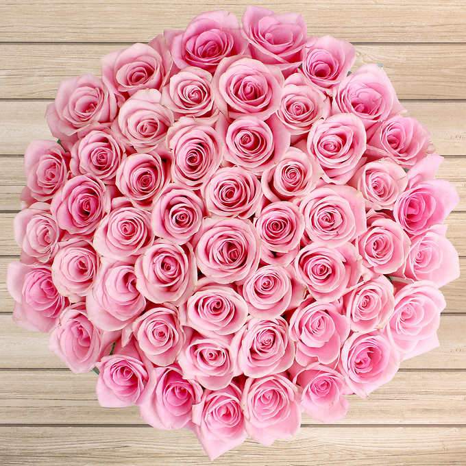 50 pink roses in a vase, pink roses luxurious bouquet